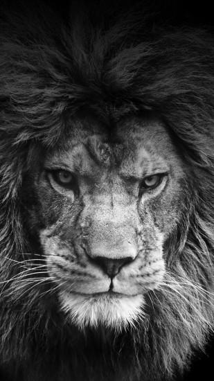 Legendary Lion | 1080 x 1920 | Download | Close