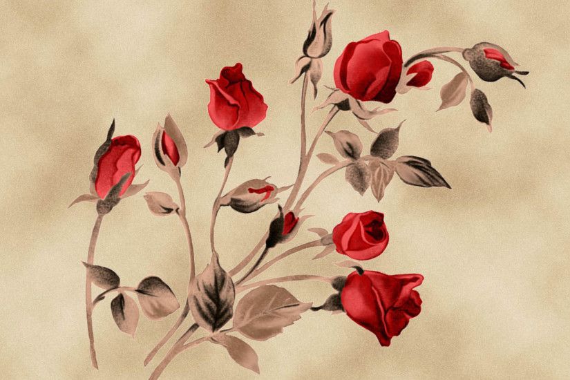 red roses, most popular rose, rose wallpapers, beautiful rose, red 1920Ã1080