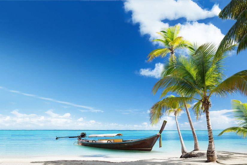 Tropical Beach Free Download