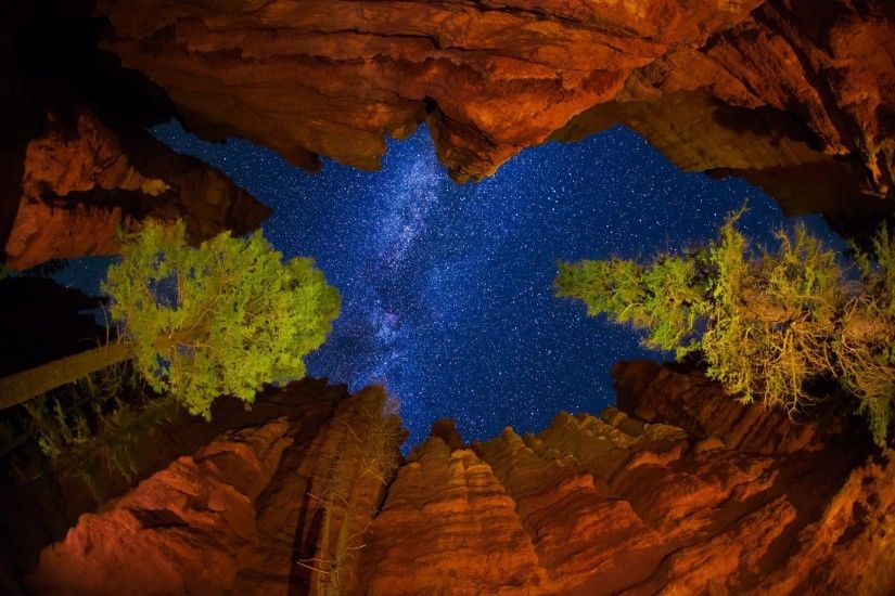 united states utah national park bryce canyon night sky star milky way rock  tree