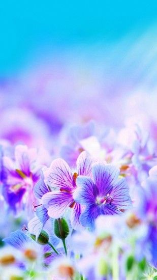 1080x1920 Purple Pretty Flowers iPhone 6s Wallpapers HD
