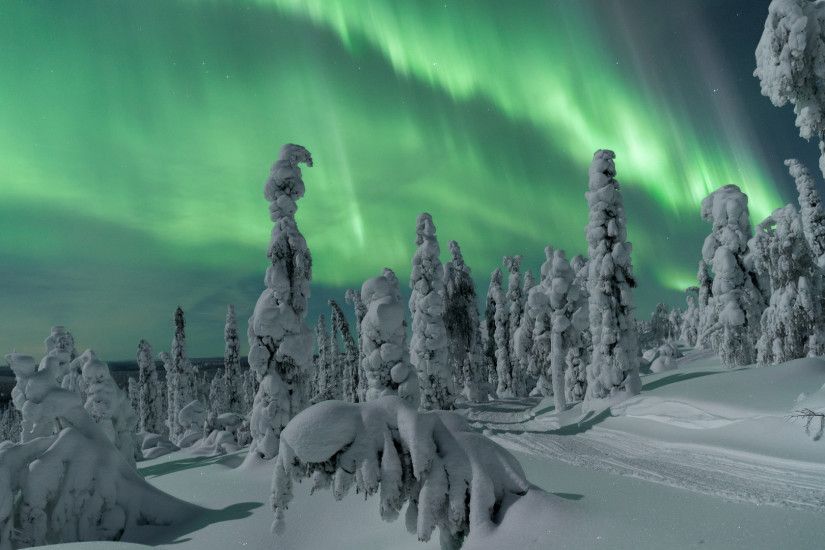 8 Best Places to see the Northern Lights in Lapland