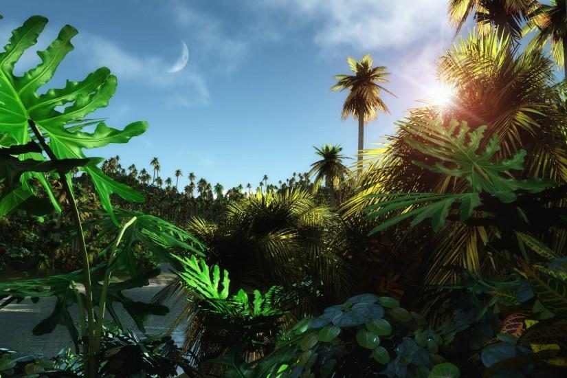 large jungle background 1920x1200 for windows 10