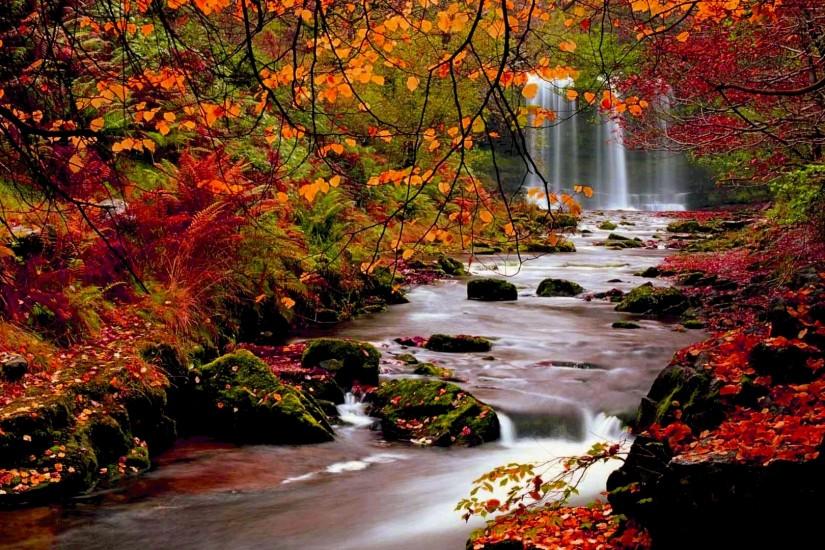 Autumn River High Resolution.