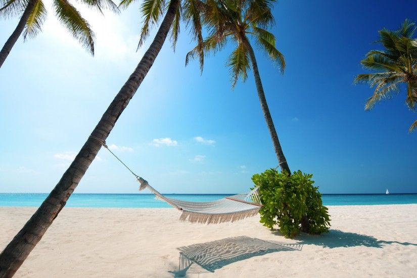 beaches white sand palm trees boat green plant hammock