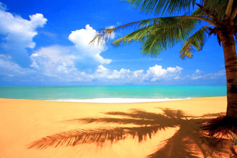 Image for BEAUTIFUL BEACH BACKGROUNDS HIGH DEFINITION WALF1003