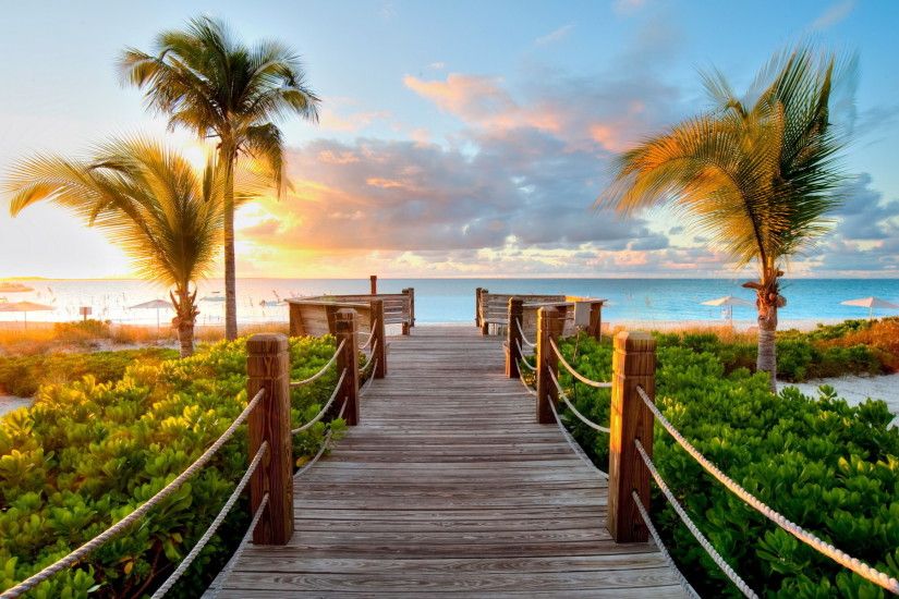 Tropical Boardwalk Beautiful Background