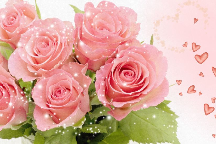 Pink Roses HD Wallpapers Free Download Most Beautiful Pink Roses HD  Wallpapers – Flowers Pictures – HD .