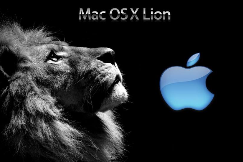 best lion background 1920x1200 for iphone 5