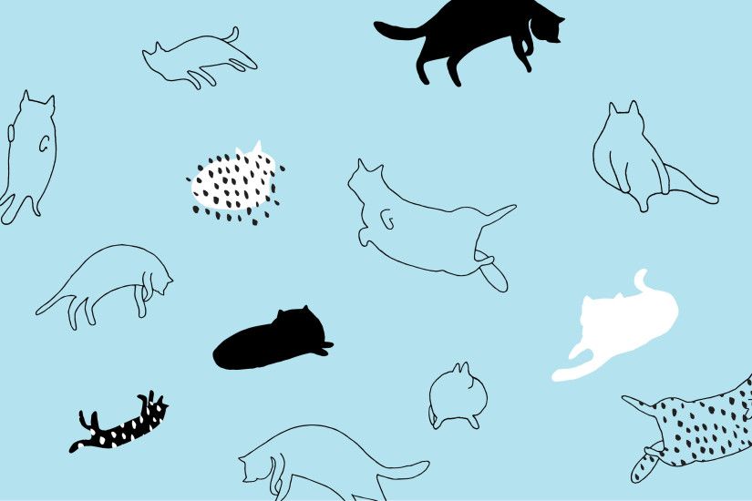 Download Cats on Blue Desktop Wallpaper