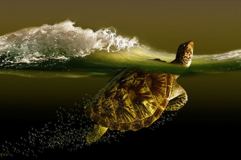 Turtle sea wave turtles ocean waves bubbles underwater wallpaper |  1920x1200 | 91433 | WallpaperUP