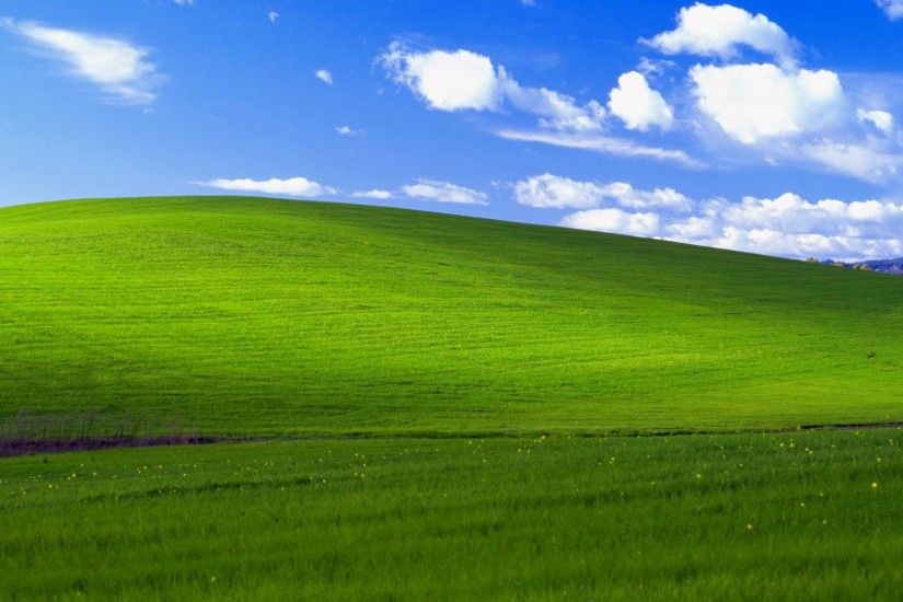 Popular hill in Windows XP wallpaper 'Bliss' may have survived California  brush fire | Inquirer Technology