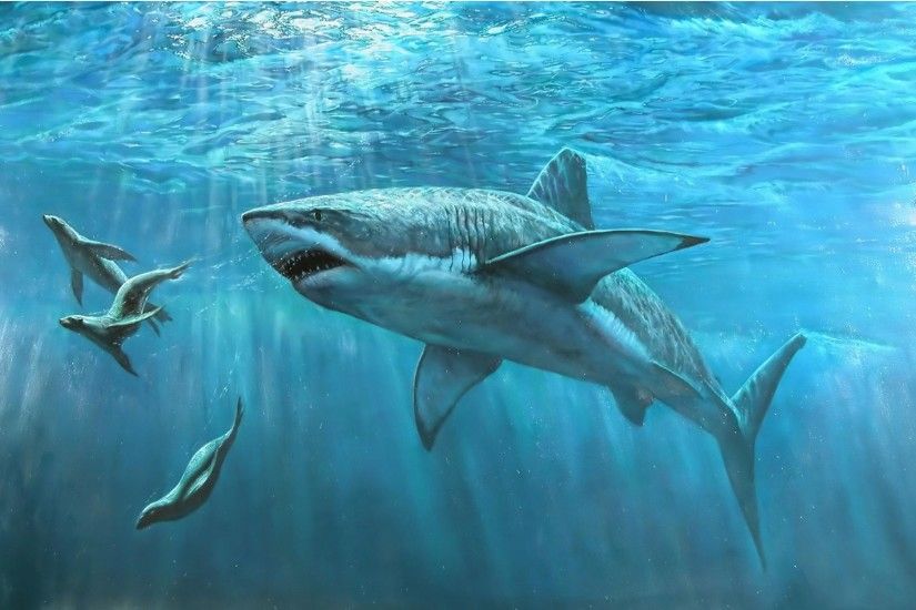 1920x1200 Megalodon Shark Desktop Wallpaper 19436