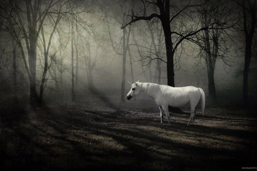 Unicorn in dark forest for 1920x1080