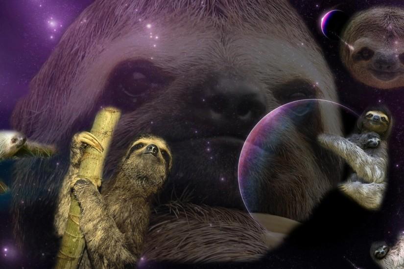 in class and created a sloth wallpaper. I'm currently adding one sloth .