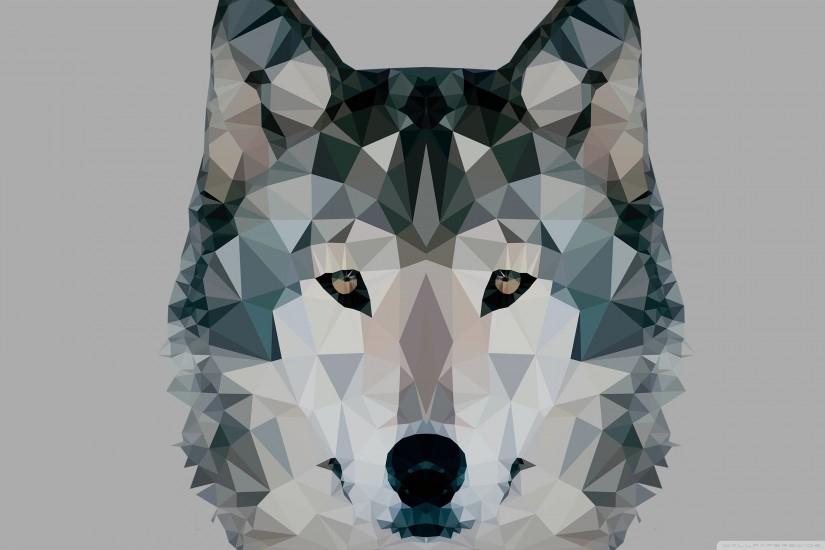 wolf wallpaper 2560x1600 photos
