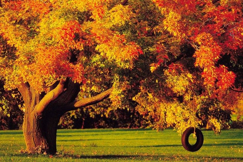4. fall-foliage-wallpaper-for-desktop5-600x338