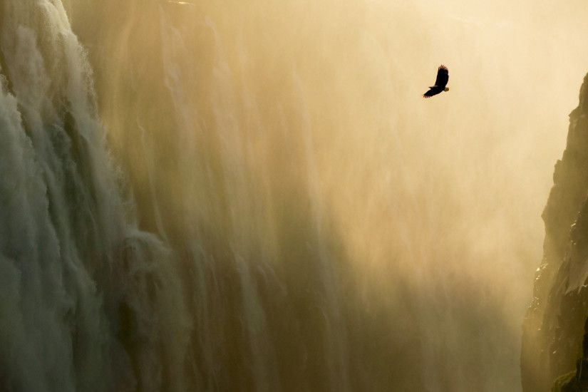 Lion Eagle & Waterfall