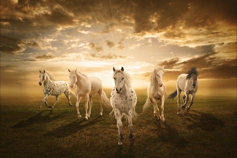 White Horses Desktop Background