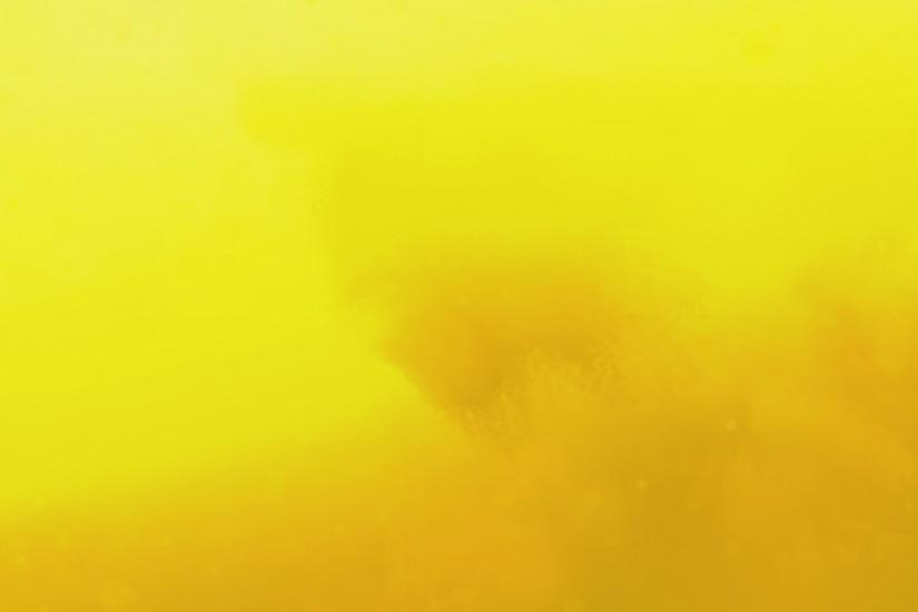 yellow wallpaper 2560x1600 for tablet