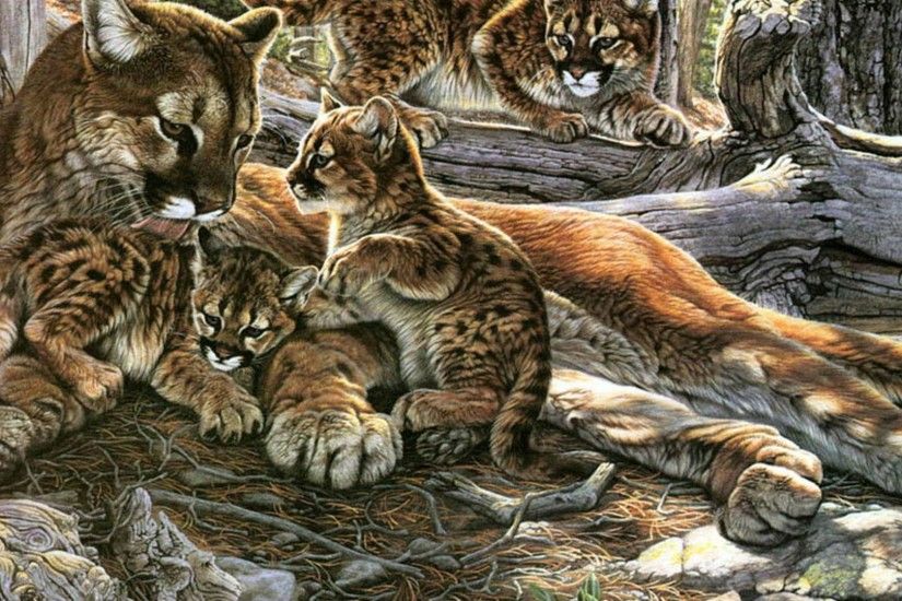 Lovely Family - Cats Wallpaper ID 1515420 - Desktop Nexus Animals