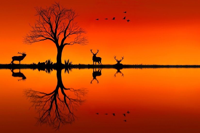 nature, Landscape, Animals, Trees, Sunset, Silhouette, Birds, Photo  Manipulation, Deer, Horizon, Reflection, Orange Wallpapers HD / Desktop and  Mobile ...