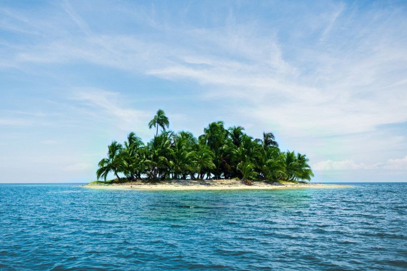2560x1600 wallpaper Caribbean island, holiday, summer, sea, palm tree