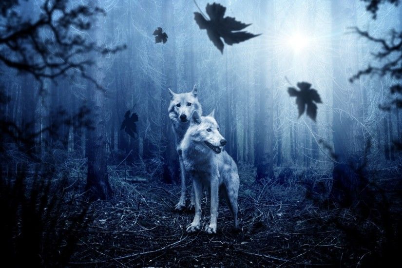 1920x1080 Wallpaper wolves, predators, forest, photoshop