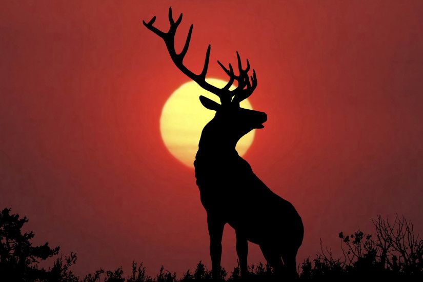 Moonlight Deer Desktop Background. Download 1920x1080 ...