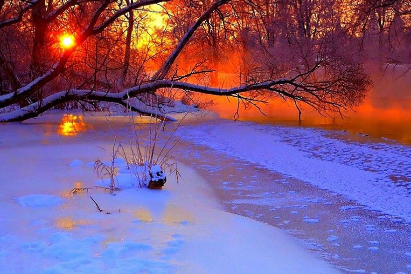 Preview wallpaper winter, sunset, evening, branches, tree, pond, cold,