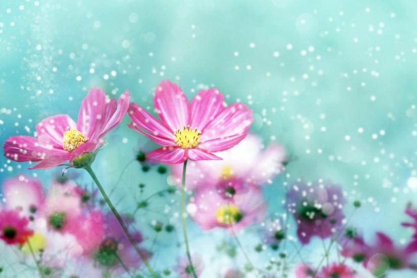 popular flower backgrounds 2560x1600