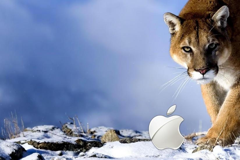 OS X Snow Leopard wallpaper HD Desktop taken from Stunning Mac Os ..