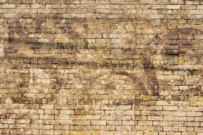 best brick wall background 1920x1280
