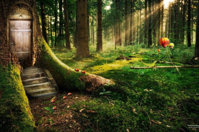 Enchanted Forest Wallpapers | HD Wallpapers