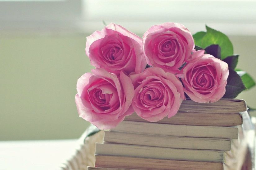 Full HD 1080p Pink Rose Wallpaper - HD Flowers for Desktop