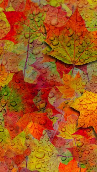 fall leaves hd wallpapers for your iphone 6 iphone 6 plus and iphone .