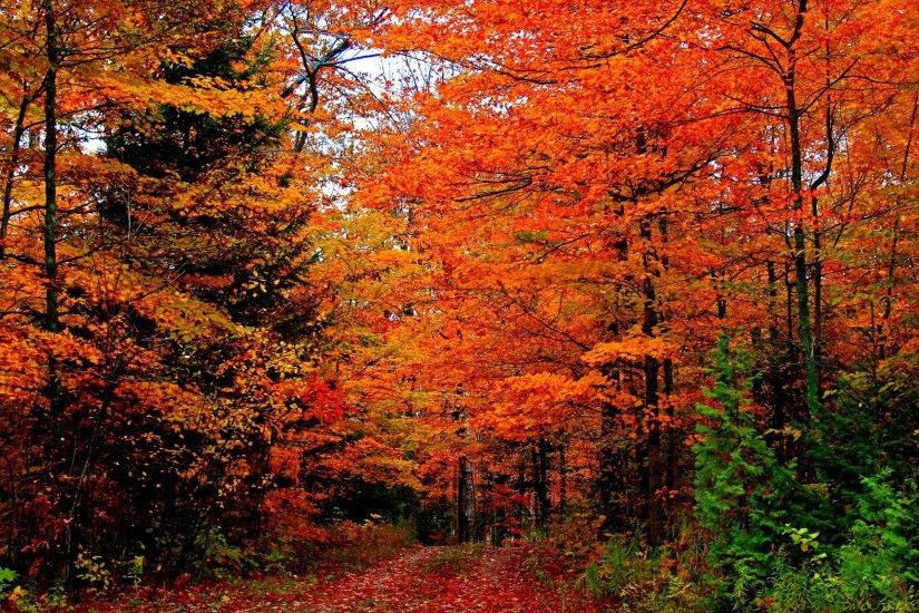 Door County Fall Colors