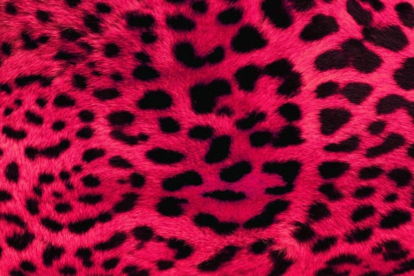 Wallpapers For > Iphone Wallpaper Cheetah Print