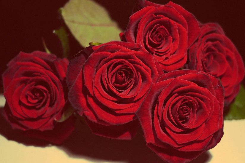 Red Roses Pics Wallpapers (39 Wallpapers)