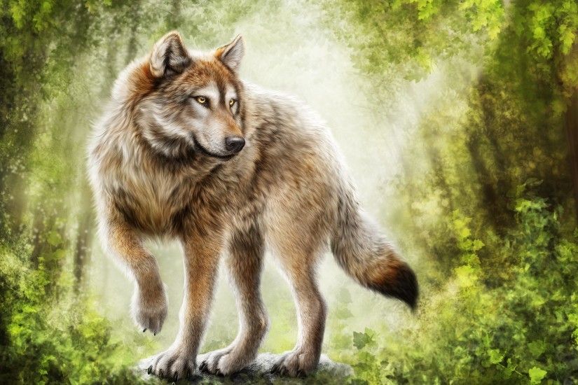 ... Mystic wolf wallpaper wolves animals wallpapers for free download .