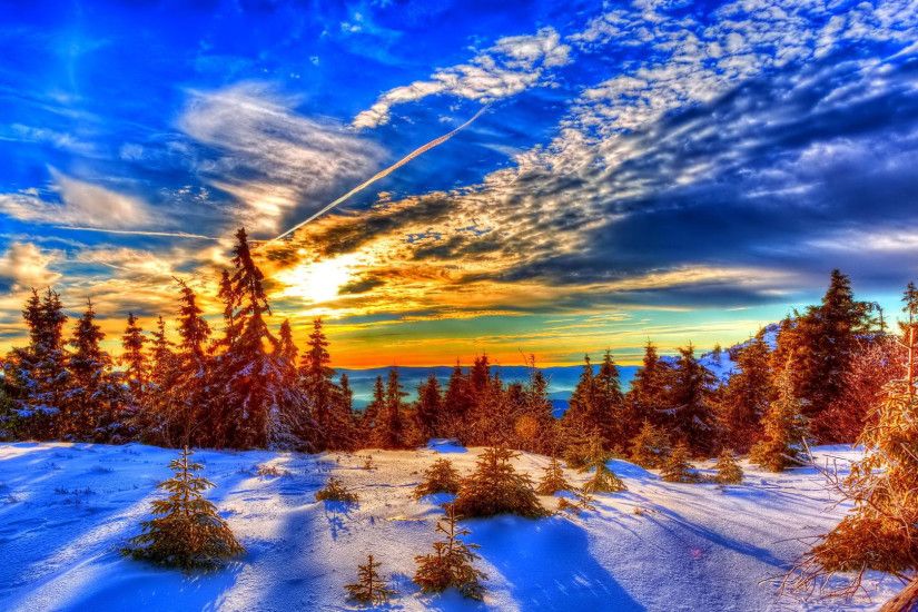 Winter sunlight over pine forest HD Wallpaper 1920x1080