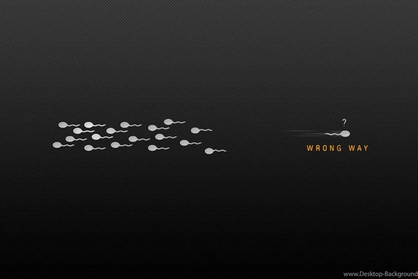 funny backgrounds for computers Funny Computer Wallpapers, Desktop  Backgrounds Desktop Background