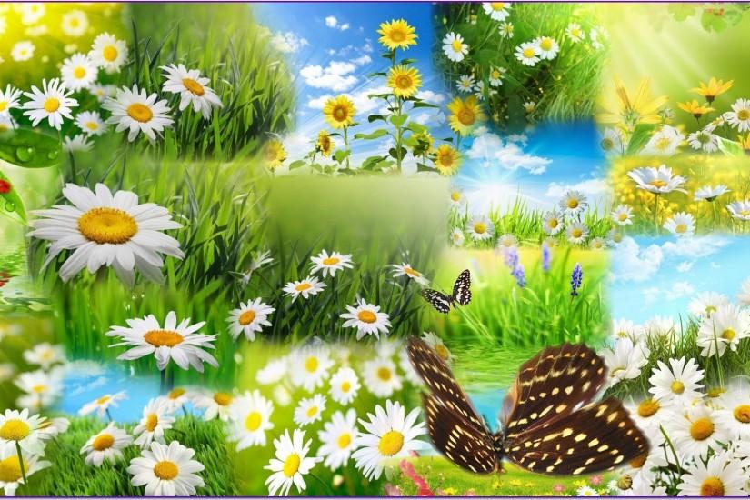 FunMozar – Spring Flowers And Butterflies Wallpapers