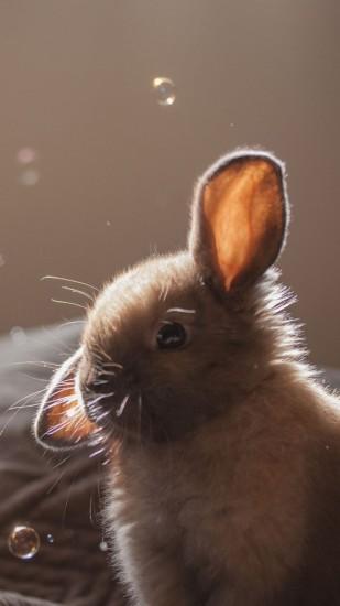 Cute Bunny Soap Bubbles iPhone 7 wallpaper