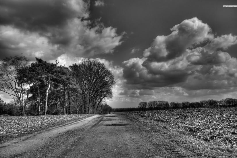 Country Road Black And White