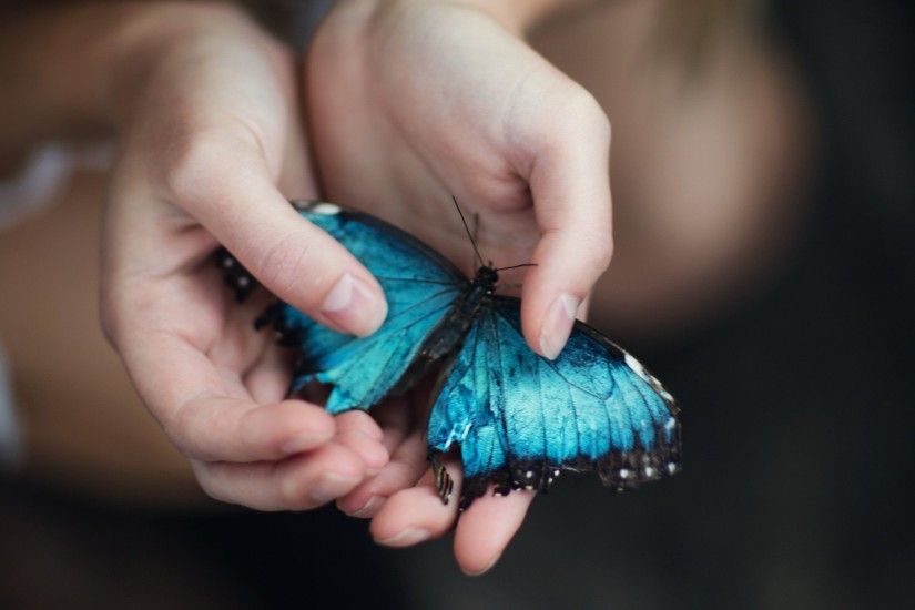 Blue Butterfly in Hand Wallpaper