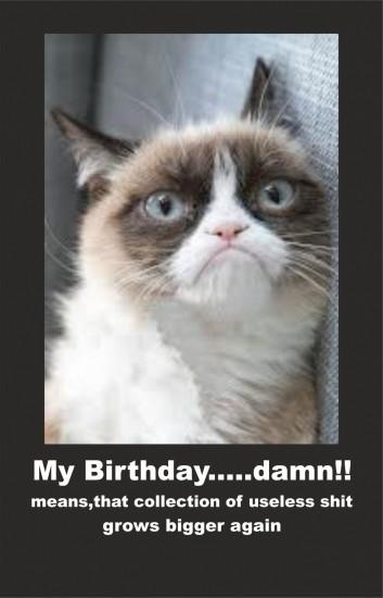 Happy Birthday Meme Grumpy Cat Wallpapers HD Download