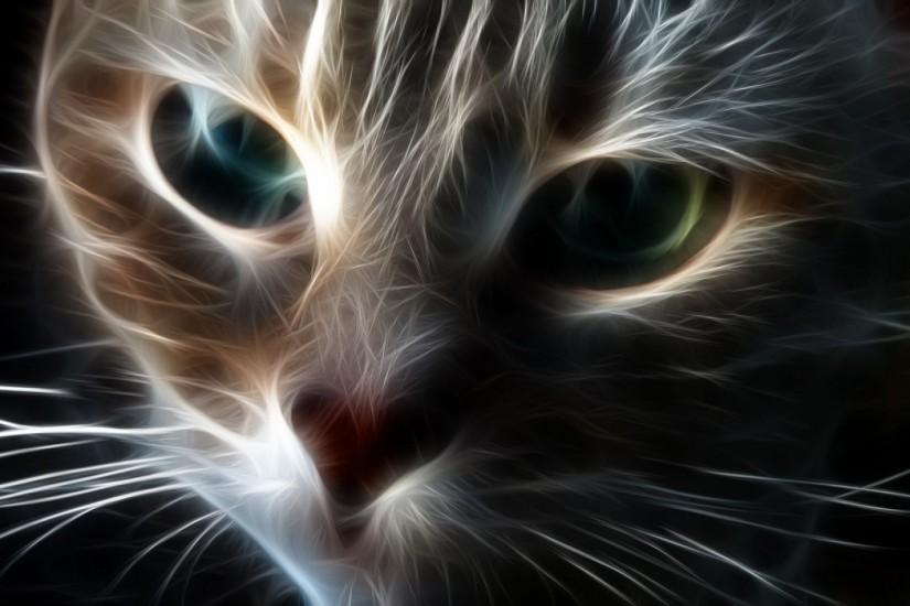 widescreen cat background 1920x1200 for macbook