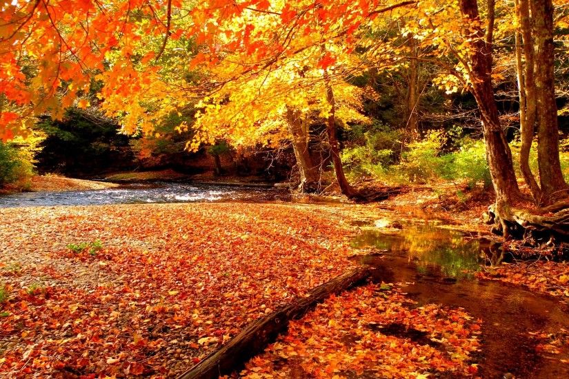 HD Autumn Beautiful Beauty Lake Hd Wallpapers