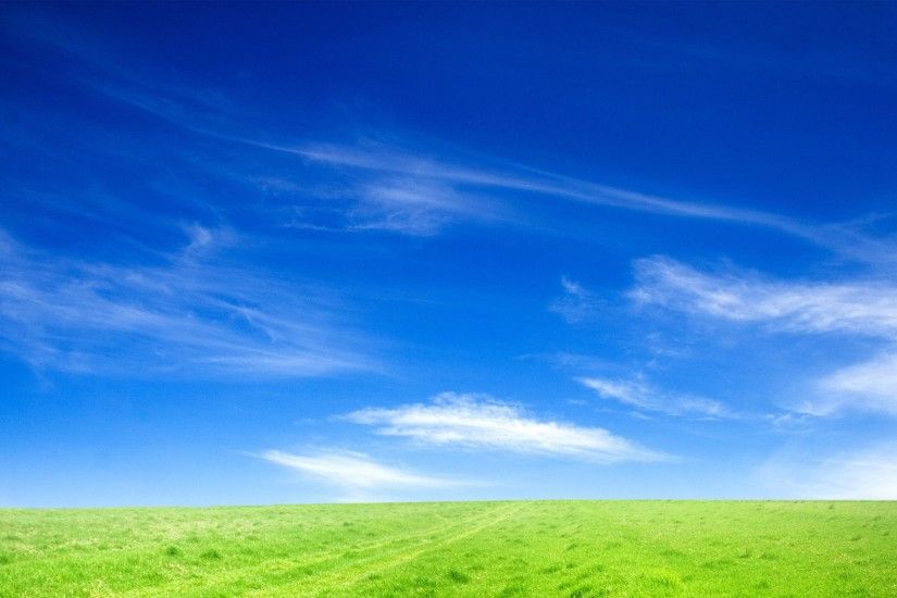Blue Sky and Green Grass